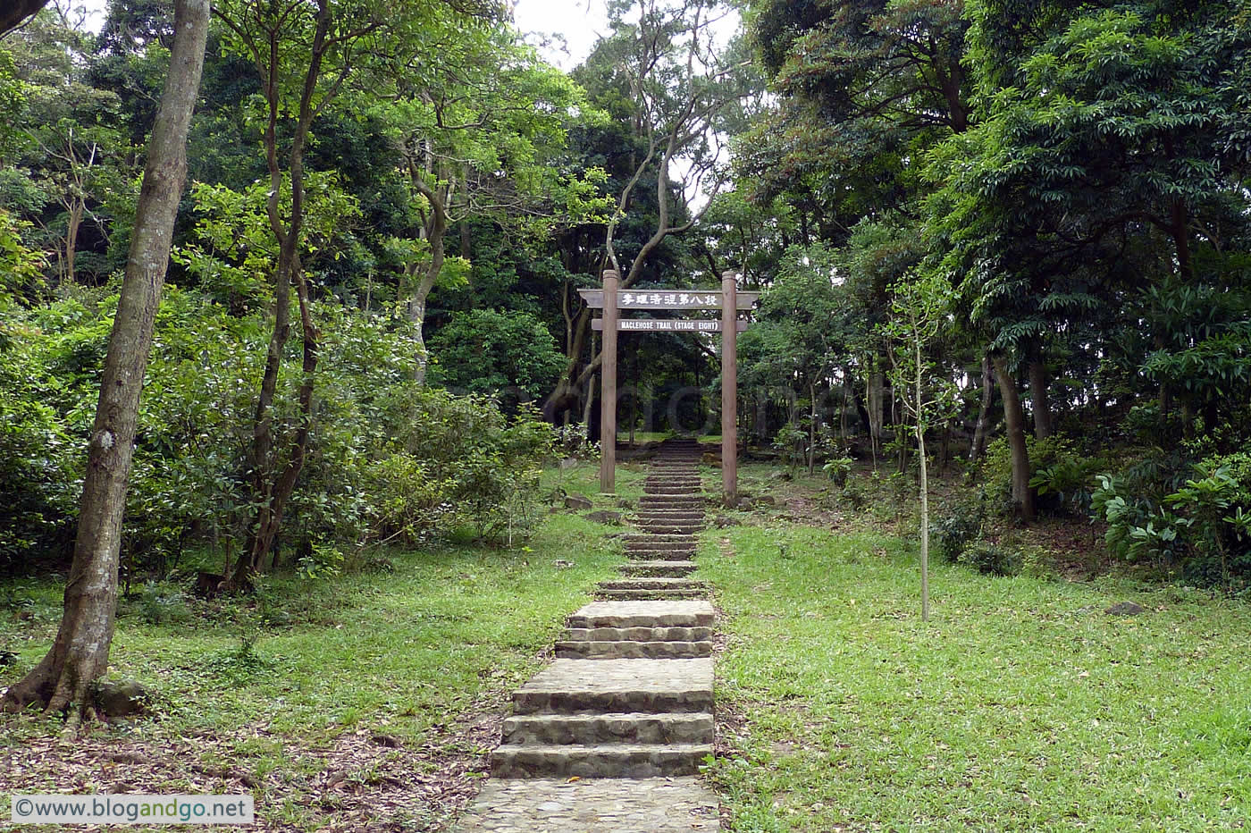 Maclehose junction of 7-8